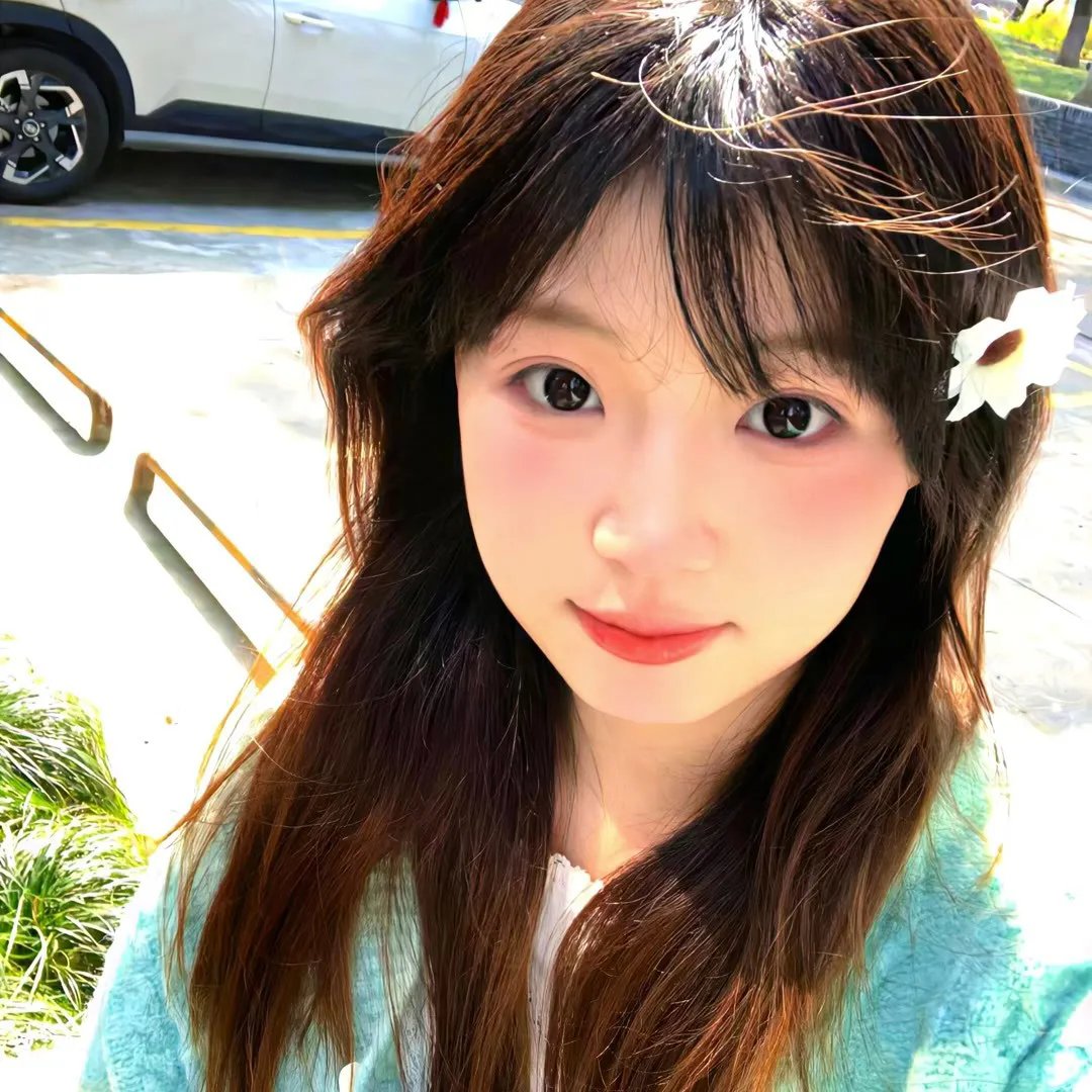 新生的秘密封面